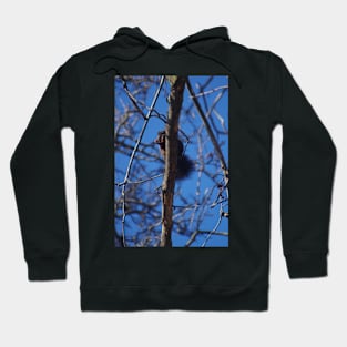 Spy in the Tree Hoodie